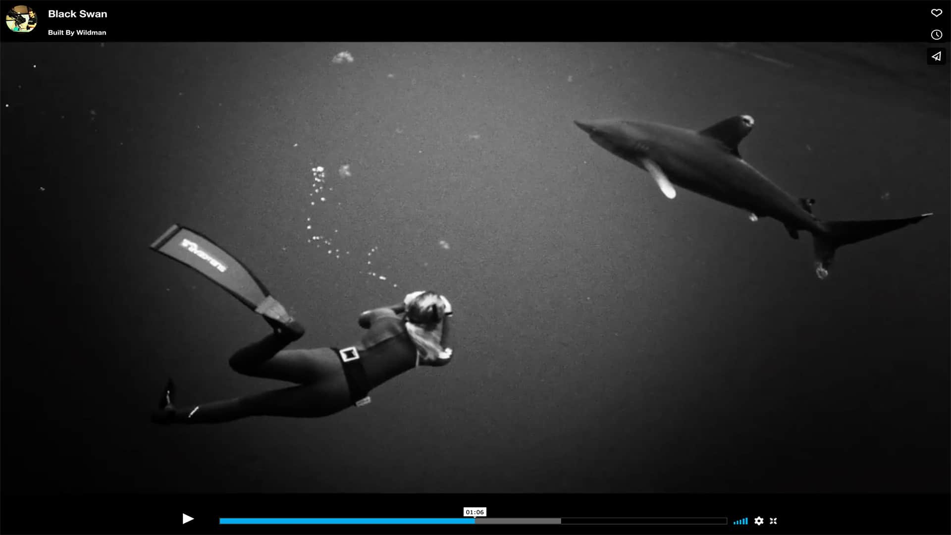 Screenshot: Die besten Unterwasser-Videos des Monats: Januar 2014