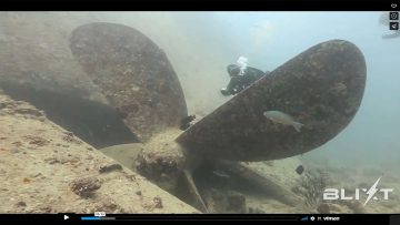 Screenshot: Video Beauty of diving