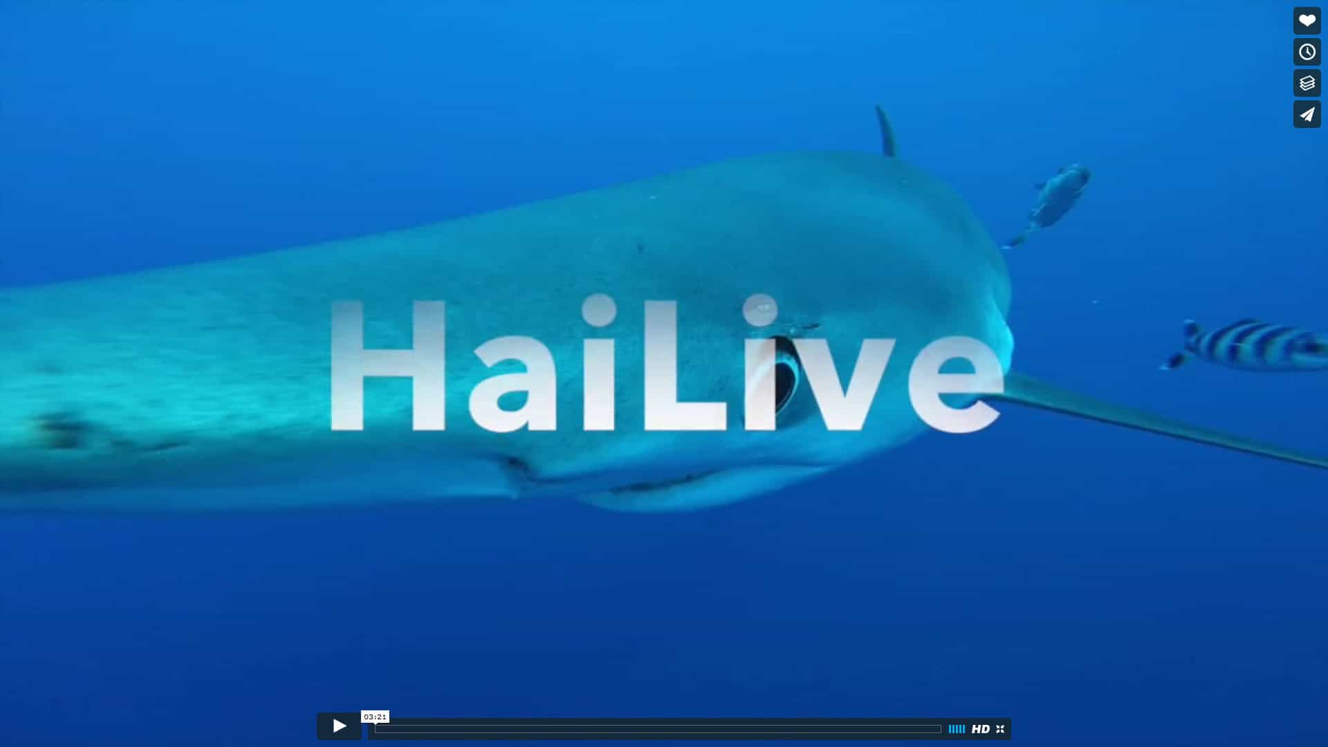 Video der Woche: HaiLive