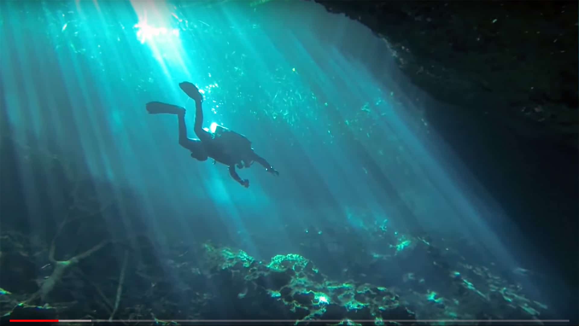 Screenshot: Video der Woche: Diving with friends in the Cenotes