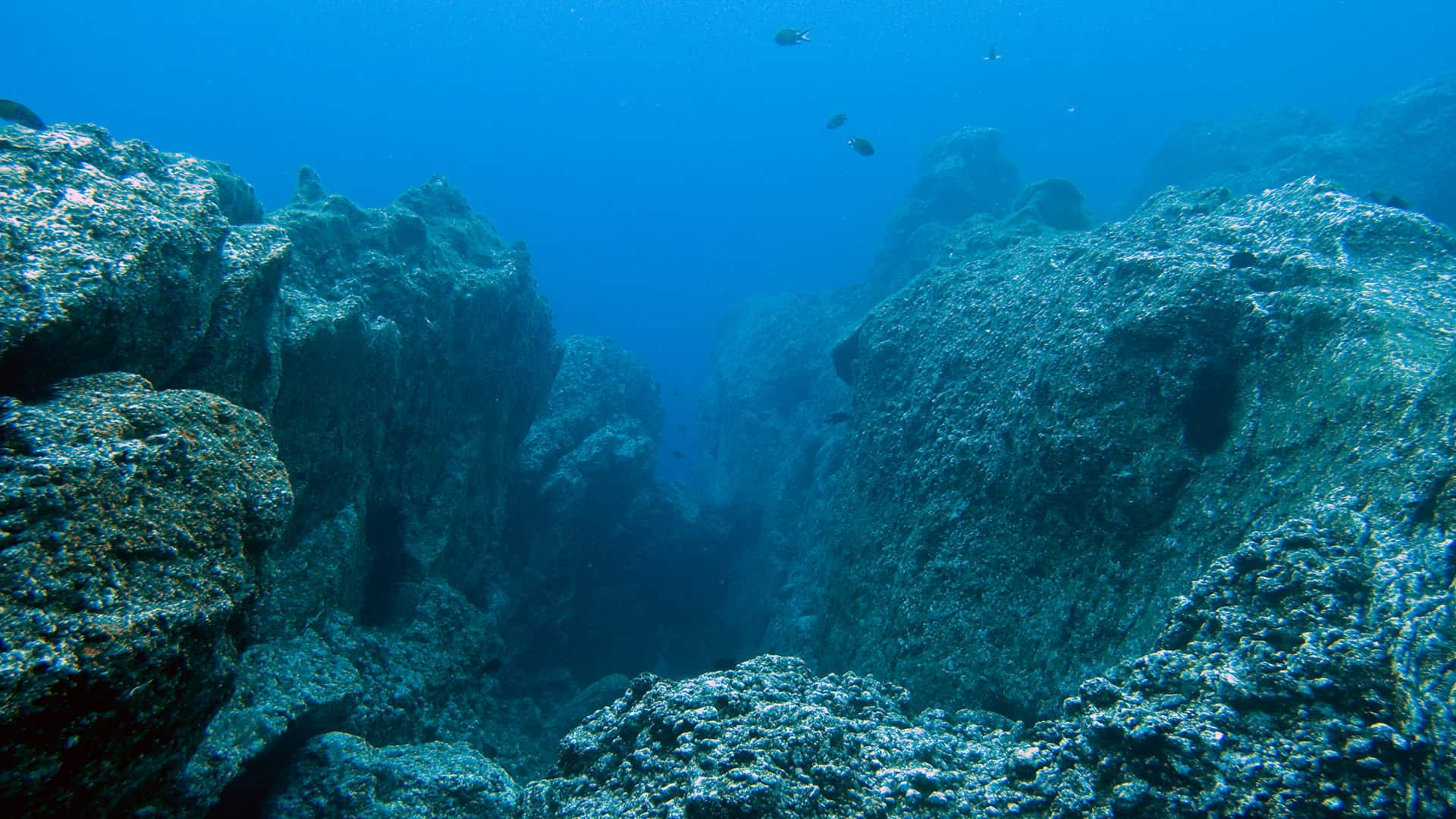 Foto: Unterwasserfelslandschaft
