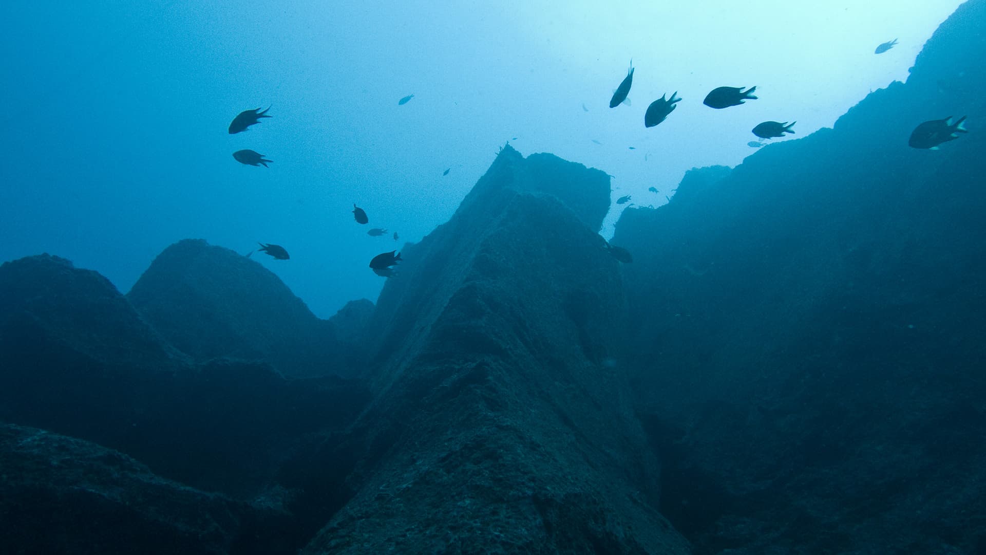 Foto: Unterwasserfelslandschaft